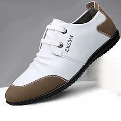 Voor heren Oxfords Vrijetijdsschoenen voor heren Leren schoenen Comfortabele schoenen Casual Dagelijks Leer Ademend Comfortabel Anti-slip Leegloper Zwart Wit Zomer Lightinthebox