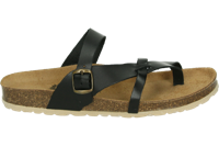 Cosmos 6186706 - alle