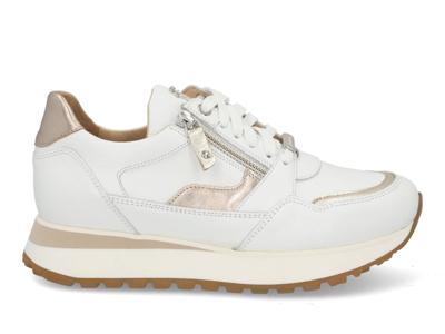 Footnotes 31008 white combi Wit maat 38.5