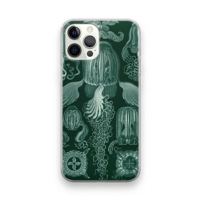 Haeckel Cubomedusae: iPhone 12 Pro Transparant Hoesje