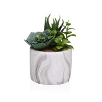 Decoratieve plant Versa Keramisch Plastic Fusion Vetplant 9 x 15 x 9 cm
