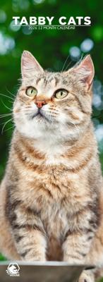 Tabby Katten Slimline Kalender 2026