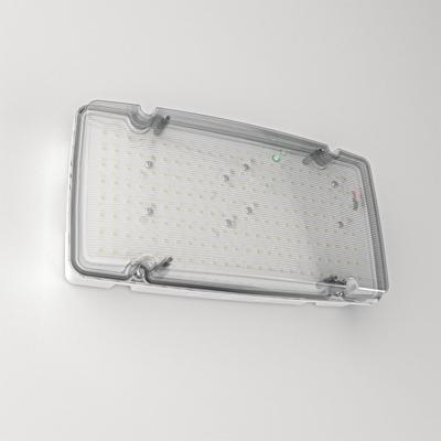 HOFTRONIC™ Salus Max - LED Noodverlichting met Accu - 5 Watt 1000/1500 Lumen - Wand/plafond-opbouw - Testknop - 6500K Daglicht Wit Licht - IP66 waterdicht - IK08