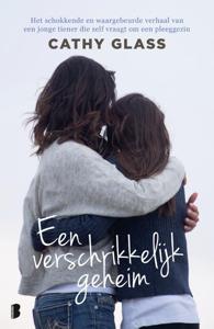 Een verschrikkelijk geheim (Paperback)
