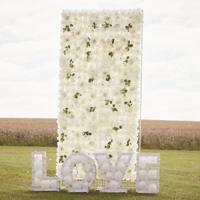 Ginger Ray PAMA-101 Witte Rozen Backdrop