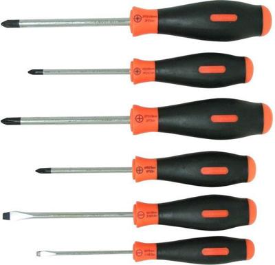 Skand schroevendraaierset 2comp 6dlg - Hortus