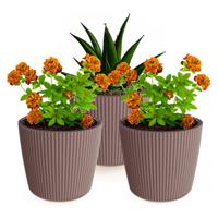 Plantenpot/bloempot Buckingham - 3x - buiten/binnen - kunststof - terra bruin - D14 x H13 cm