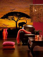 Fotobehang African sunset - thumbnail