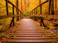 Tuinposter Herfst Brug