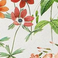 Sierkussen 50x50 cm Milly Natural (4 stuks) Madison - Madison