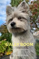 Wally Boom - Hans van der Meer - ebook