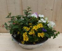 Zinken bak zomerbloeiers kleurenmix dia. 30 cm Warentuin Natuurlijk - Warentuin natuurlijk