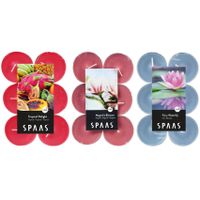 Candles by Spaas geurkaarsen - 36x stuks in 3 geuren - Maxi theelichtjes van 10 branduren