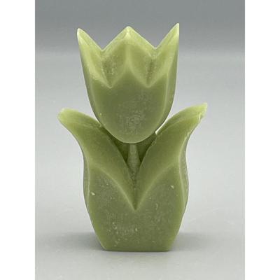 Tulp geur Cucumber