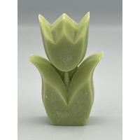 Tulp geur Cucumber