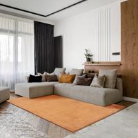 Karpet24 Loft modern pluizig laagpolig tapijt, antislip onderkant, wasbaar tot 30 graden, heerlijk zacht, bontlook, terra-80 x 150 cm Karpet24 Loft modern pluizig laagpolig tapijt, antislip onderkant, wasbaar tot 30 graden, heerlijk zacht, bontlook, terra-80 x 150 cm