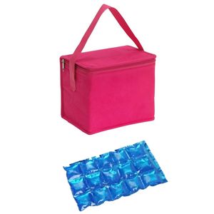 Kleine koeltas voor lunch roze met 2 stuks flexibele koelelementen 4.5 l   -