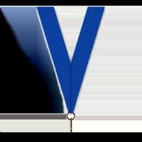 Sportprijzen Leiden Halslint - Blauw