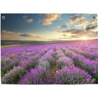 Tuinposter lavendel 2 - Pillow Buddies
