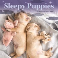 Slapende Puppies Mini Kalender 2026