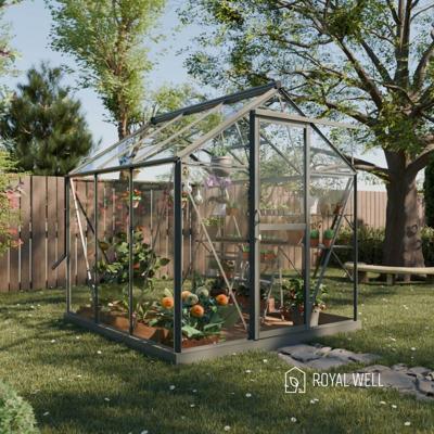 Royal Well Mary 1 tuinkas met veiligheidsglas en fundering - groengrijs Royal Well Mary 1 tuinkas met veiligheidsglas en fundering - groengrijs