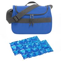 Kleine koeltas voor lunch blauw met 2 stuks flexibele koelelementen 10 liter