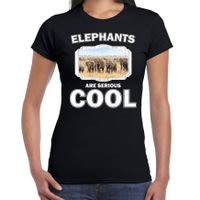 Dieren olifant t-shirt zwart dames - elephants are cool shirt - kudde olifanten - thumbnail