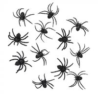 Set 12 Spinnen (5 x 6 cm)