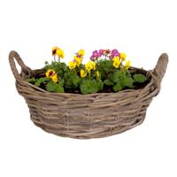 Planten/bloemen mand Levi - rotan - laag model - D40 x H13 cm - plantenpot voor buiten