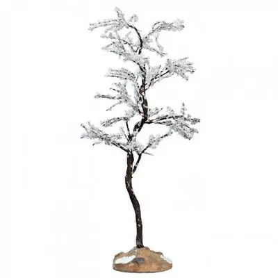 Morning Dew Tree Medium