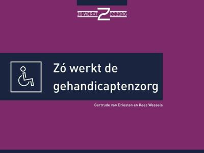 Zó werkt de gehandicaptenzorg (Hardback)