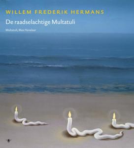 Volledige werken 17 (Hardback)