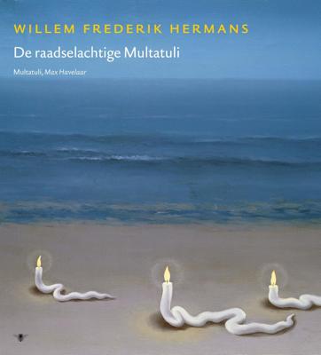 Volledige werken 17 (Hardback)