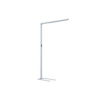 DOTLUX 5248-040080 Staande LED-lamp