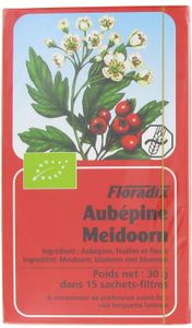 Floradix Meidoorn Thee 15 zakjes