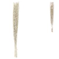 Bundel gedroogd saras gras wit 110 cm | 24 stuks