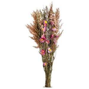 Droogbloemen boeket mix M - 70 cm - Leen Bakker