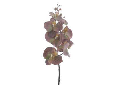 Kunstbloem phalaenopsis brown, 90 cm - Hortus