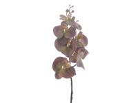 Kunstbloem phalaenopsis brown, 90 cm - Hortus