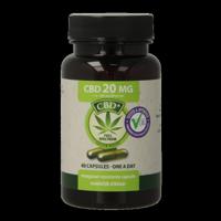Jacob Hooy CBD Capsules 20mg 60 Capsules
