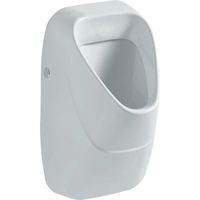 Geberit 300 urinoir met achterinlaat 34x34cm met vlieg inclusief KeraTect wit S8601805001G - thumbnail