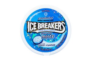 Ice Breakers Ice Breakers - Coolmint Suikervrij 42 Gram