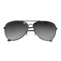 Boland Partybril politie