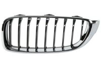 Radiateurgrille 6502070070995P
