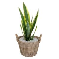 Planten/bloemen mand Levi - rotan - naturel - D30 x H23 cm - plantenpot voor buiten