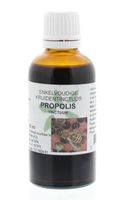 Natura Sanat Propolis tinctuur (50 ml) - thumbnail