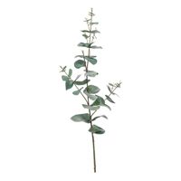 Kunstplant Eucalyptus - groen - takken - hangplant - 68 cm