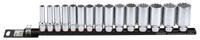 Doppenset 1/2", 12-kant lang (SAE) 15-dlg. op rail 301504
