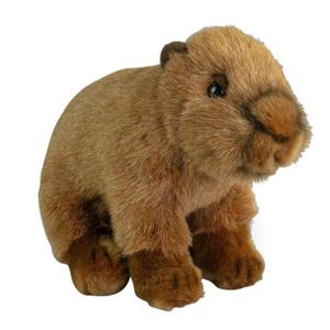 Nature Planet Knuffeldier Capybara - pluche knuffel - bruin - 20 cm - bosdier knuffel