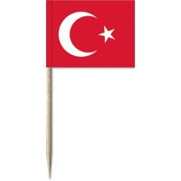 50x Vlaggetjes prikkers Turkije 8 cm hout/papier   -